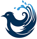 Magpie at the Spring